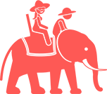 Elephant Tours